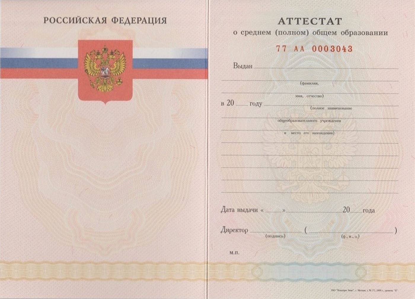 Школьный с 2008 по 2009 годы